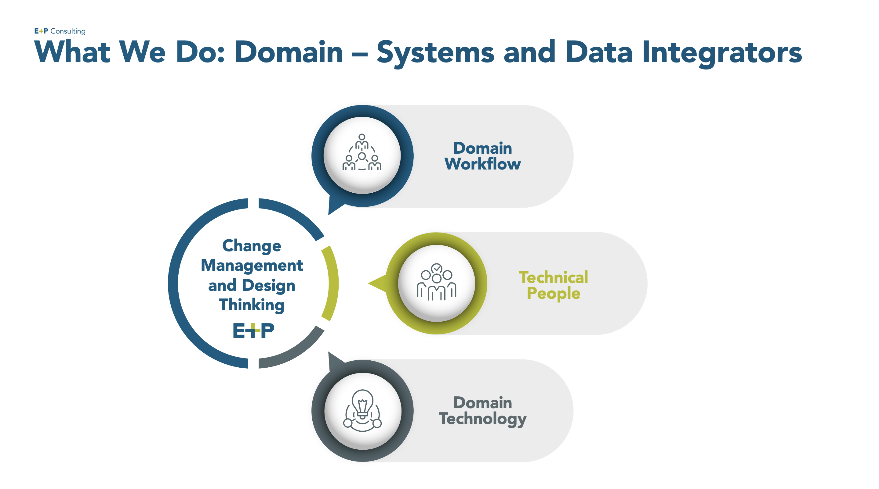 What We Do: Domain – Systems and Data Integrators